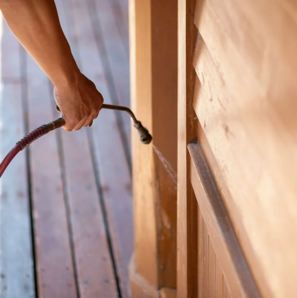 Trusted Pest Control - Voorhees Pest Control Pros | Voorhees, NJ | 856-454-8468